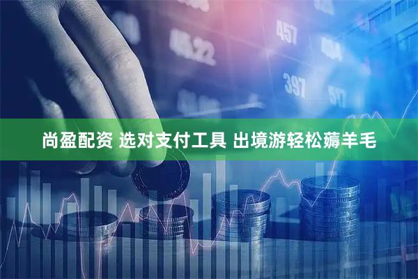 尚盈配资 选对支付工具 出境游轻松薅羊毛