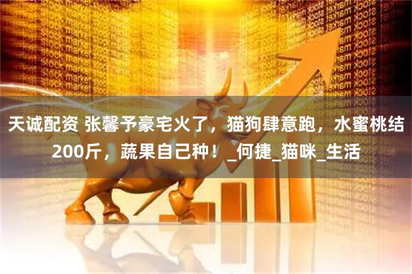 天诚配资 张馨予豪宅火了，猫狗肆意跑，水蜜桃结200斤，蔬果自己种！_何捷_猫咪_生活