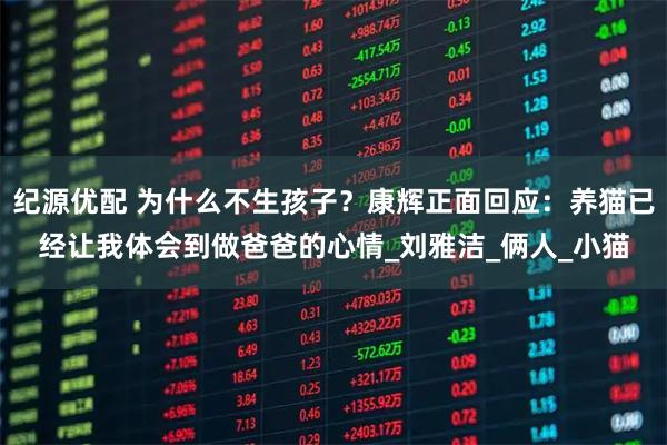 纪源优配 为什么不生孩子？康辉正面回应：养猫已经让我体会到做爸爸的心情_刘雅洁_俩人_小猫