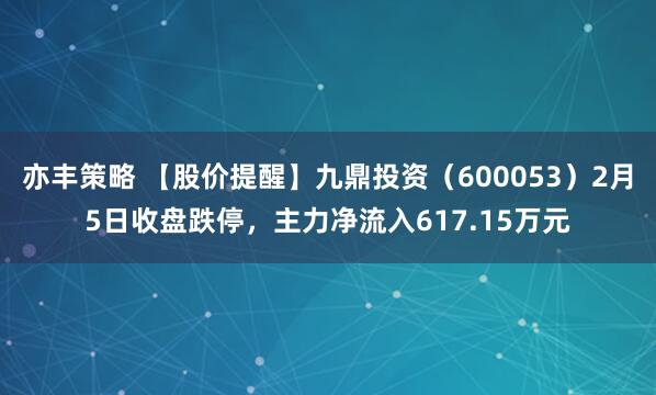 亦丰策略 【股价提醒】九鼎投资（600053）2月5日收盘跌停，主力净流入617.15万元
