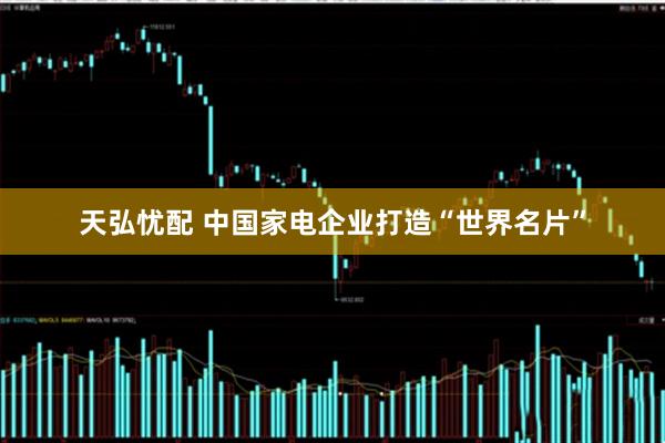 天弘忧配 中国家电企业打造“世界名片”